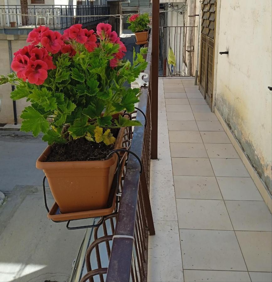 B&B La Casa Dell'Ospite Gravina in Puglia Kültér fotó